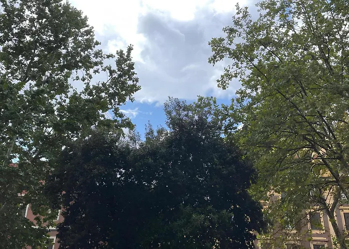 Mario - Colosseo * Roma